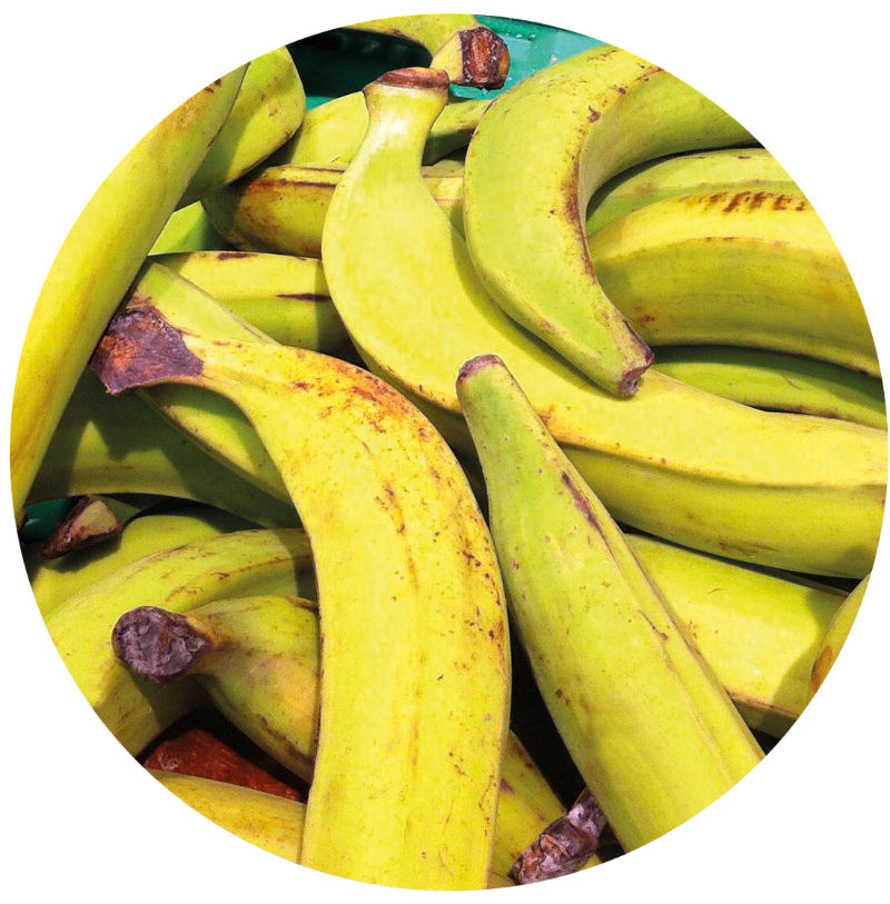 Bananes Plantain